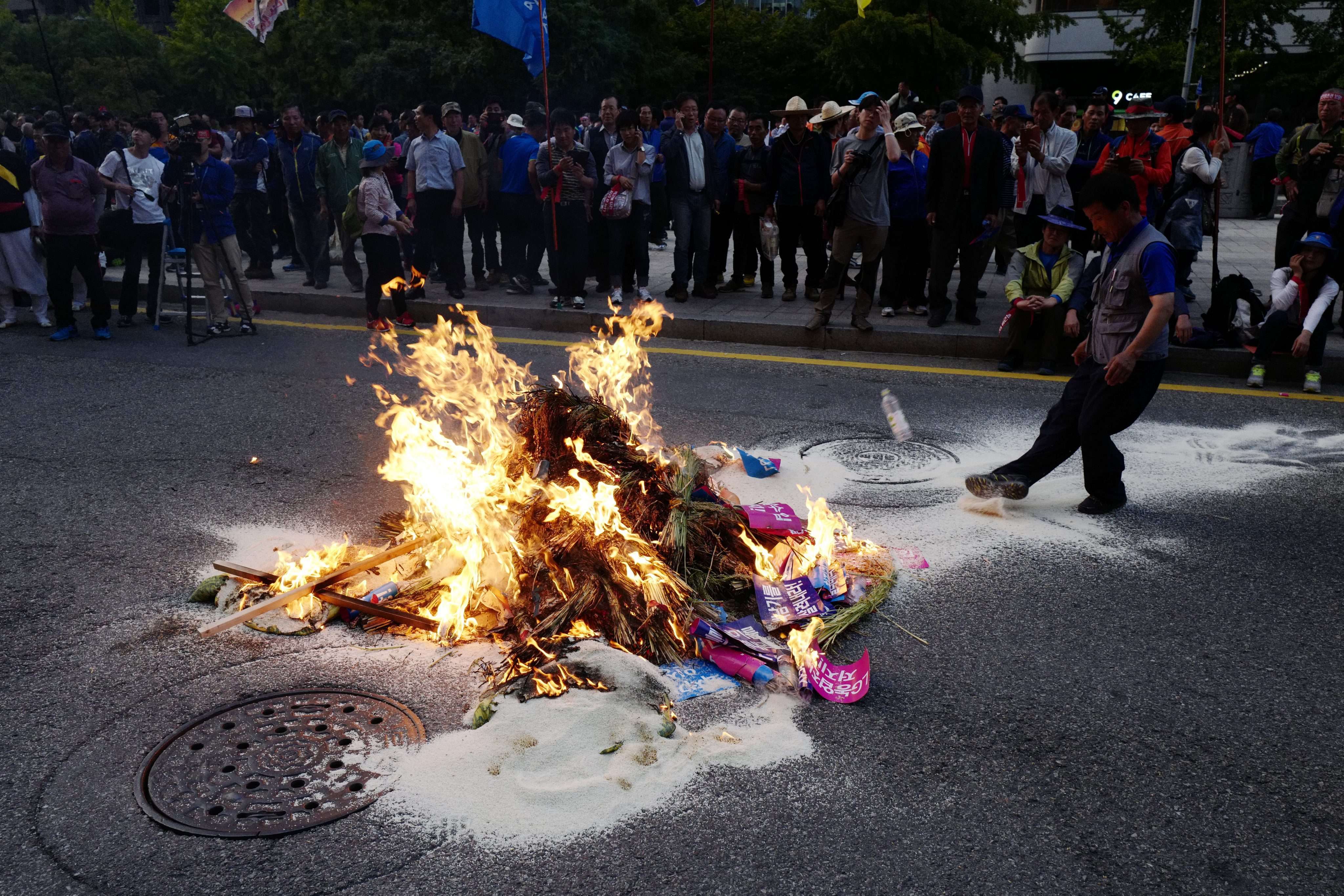South Korean farmers burn sheaves of rice after marching against the government's agricultural policy in Seoul, demanding the government stop rice imports for meals and come up with measures to resolve the incident involving Baek Nam-ki, a farmer who has been in critical condition since November 2015 when he was knocked down by a police water cannon during a protest rally. Photo: EPA