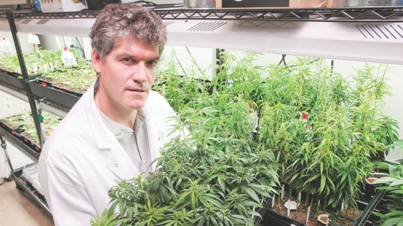 University of British Columbia adjunct professor Jonathan Page: the Anandia Labs founder co-led the first genome sequencing of cannabis sativa. Photo: Chung Chow