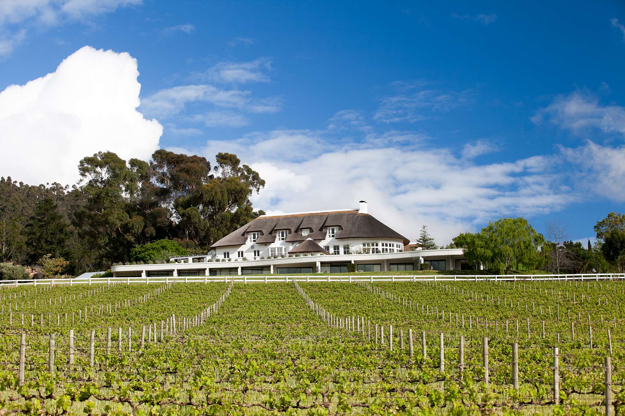 Beyond wine, the Franschhoek property is set in a foodie heartland with plenty of fun family attractions