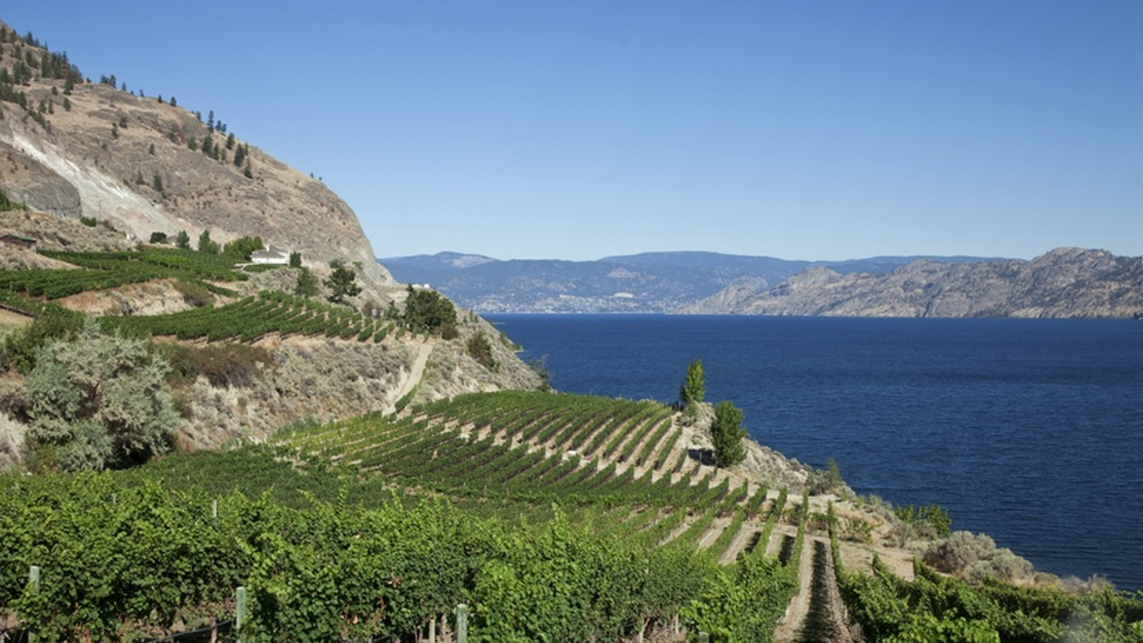 The B.C. wine industry has been moving toward a system where the Okanagan Valley would have official subregions that can appear on wine labels. Photo: Shutterstock
