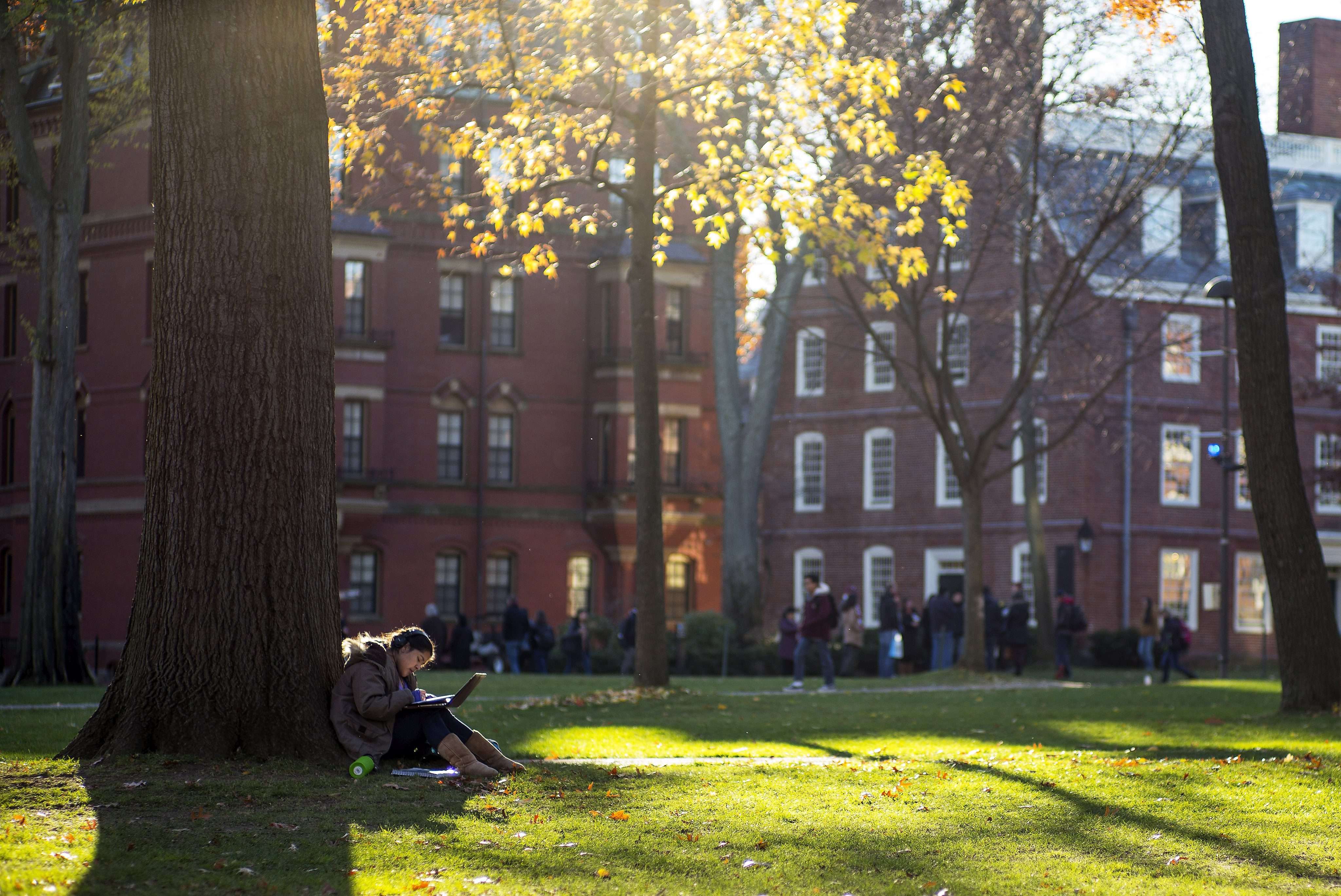 A student sits in the sun near the end of the day on the Harvard campus in Cambridge, Massachusetts. Your son or daughter should still strive for the best education. On a personal level, graduating from Harvard or Oxbridge will make them highly employable. Photo: EPA