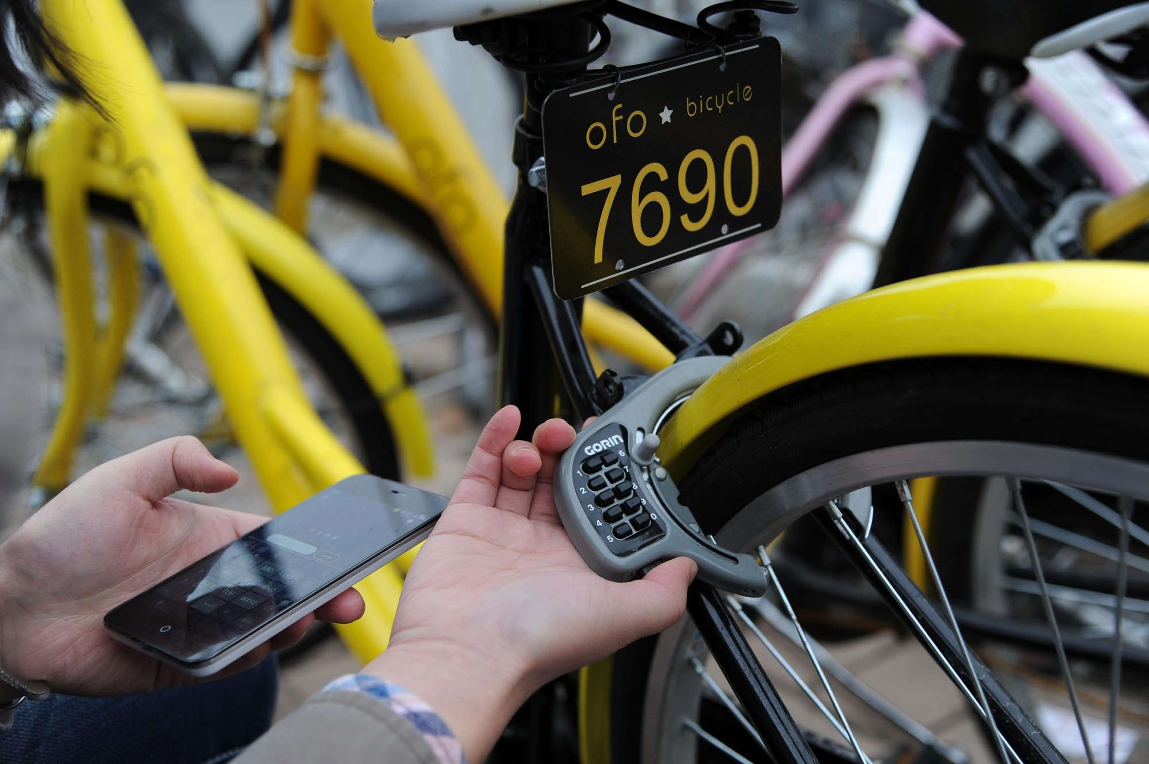 ofo customer service