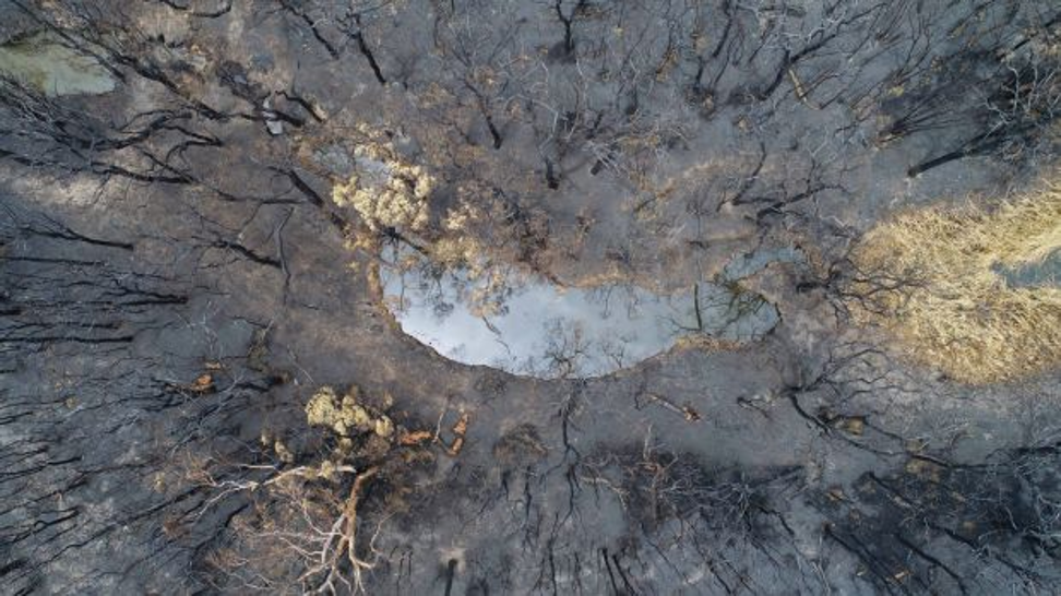 The site of a bushfire might be too dangerous to photograph on foot, but is fine for a drone (with proper permission). Photo: Nick Moir/Fairfax