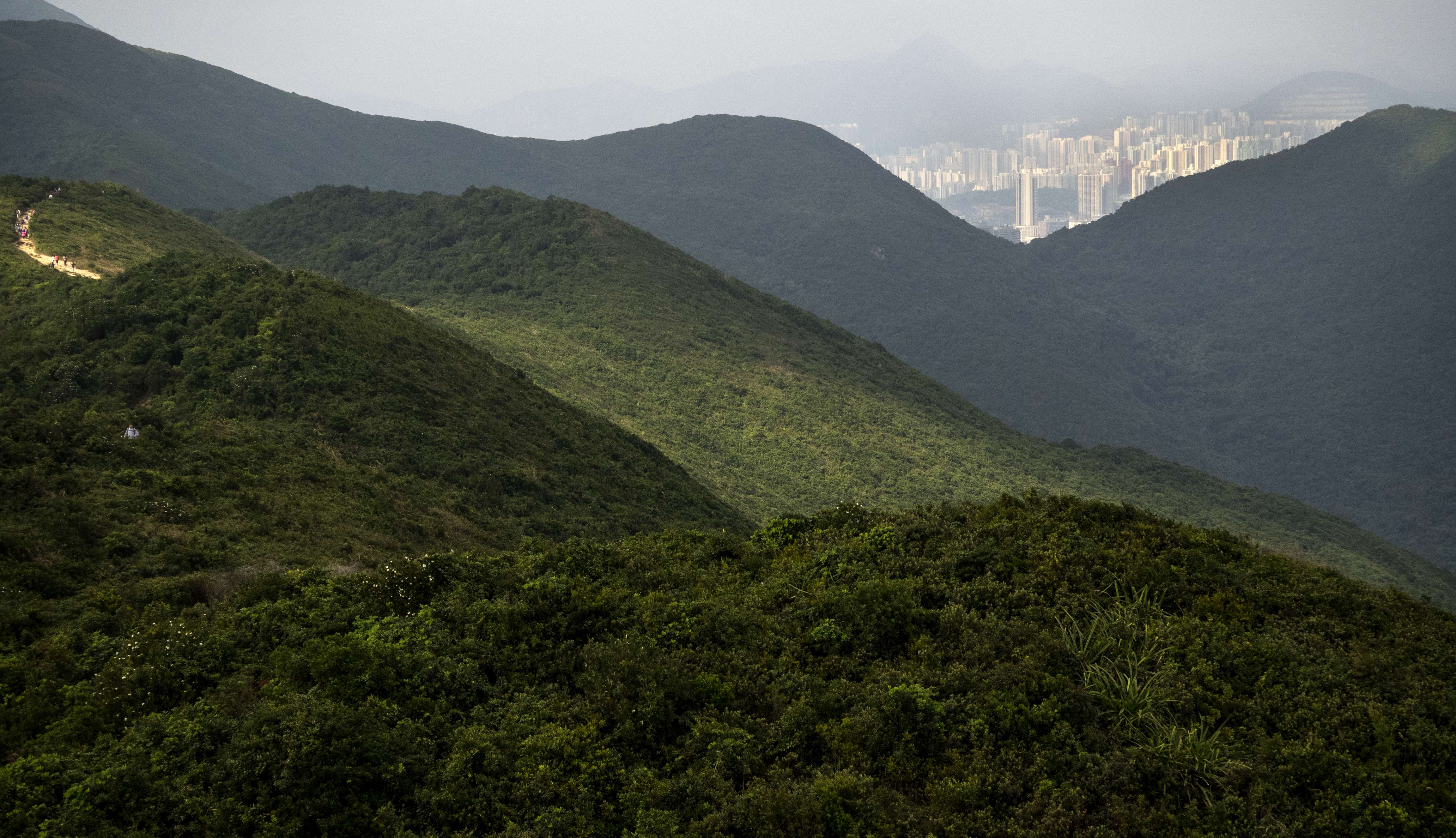 Country parks make up some 40 per cent of Hong Kong’s land. The government has been hesitant in proposing development of the fringe areas of the parks due to opposition from environmental protection groups. Photo: Martin Chan