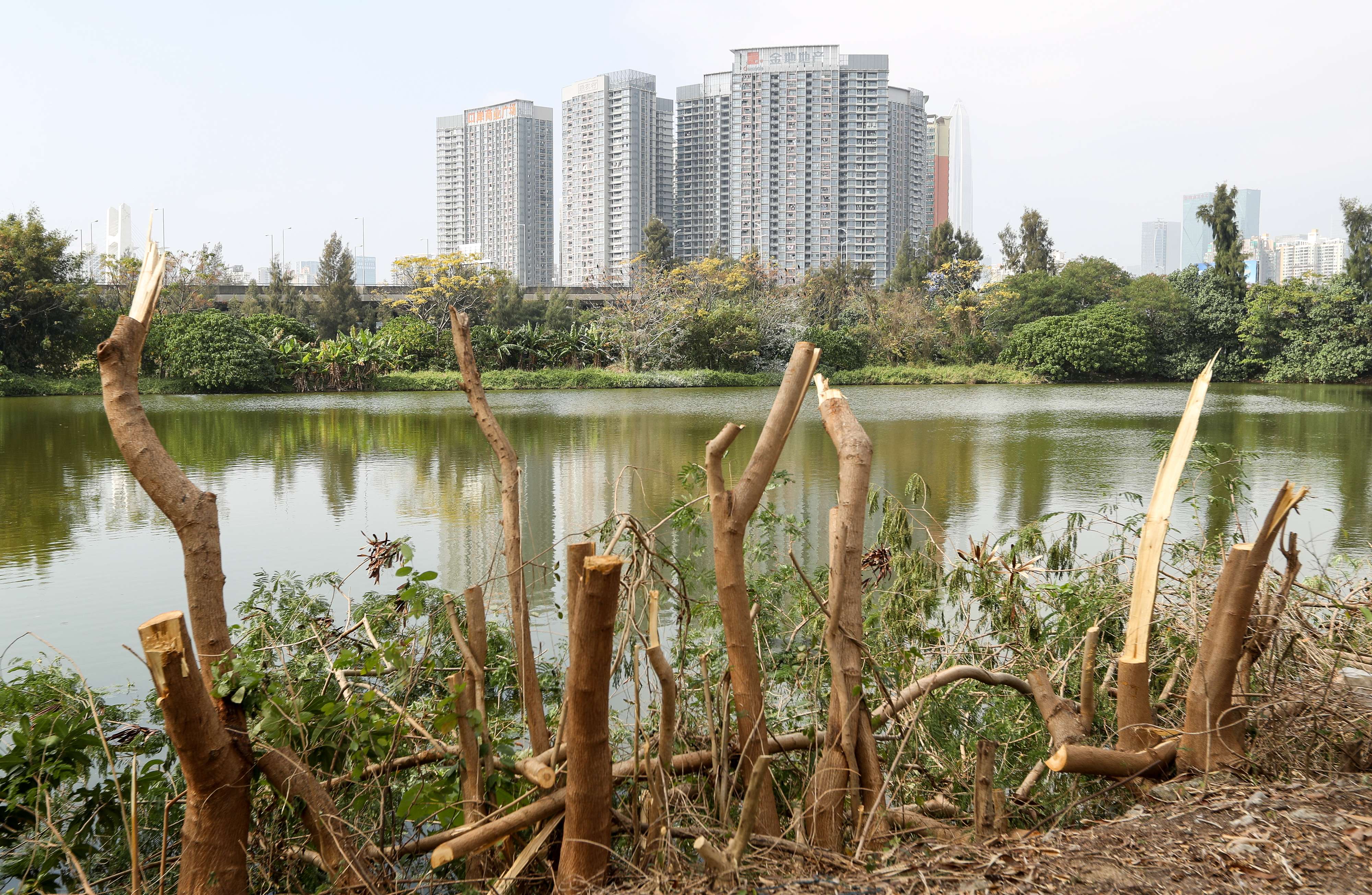 The Lok Ma Chau Loop area, seen from the Hong Kong side, overlooking the Shenzhen River. Hong Kong and Shenzhen have agreed to develop the area into an innovation and technology park. Photo: Nora Tam
