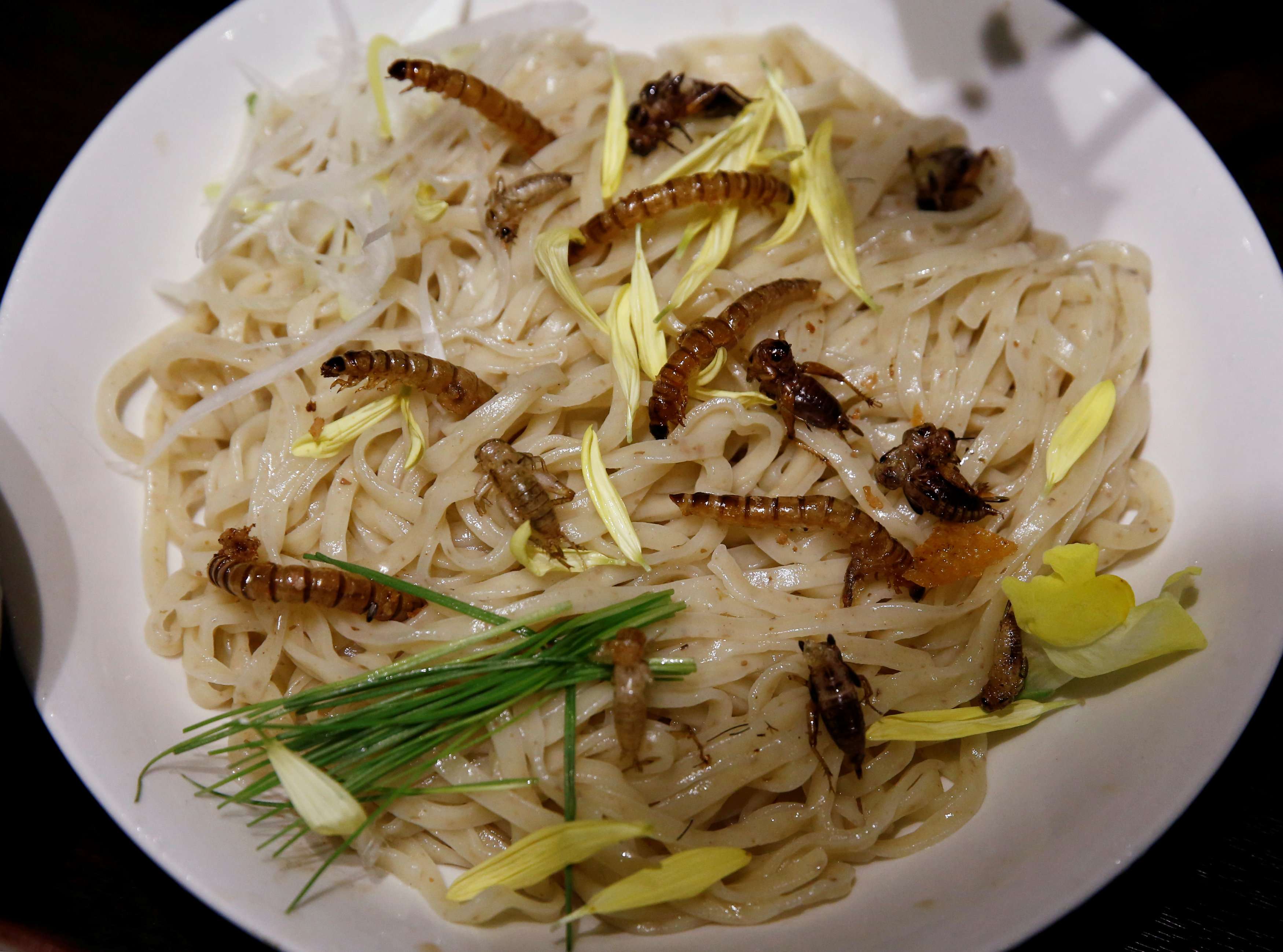 Like deep-fried shrimp': diners lap up insect-topped ramen at