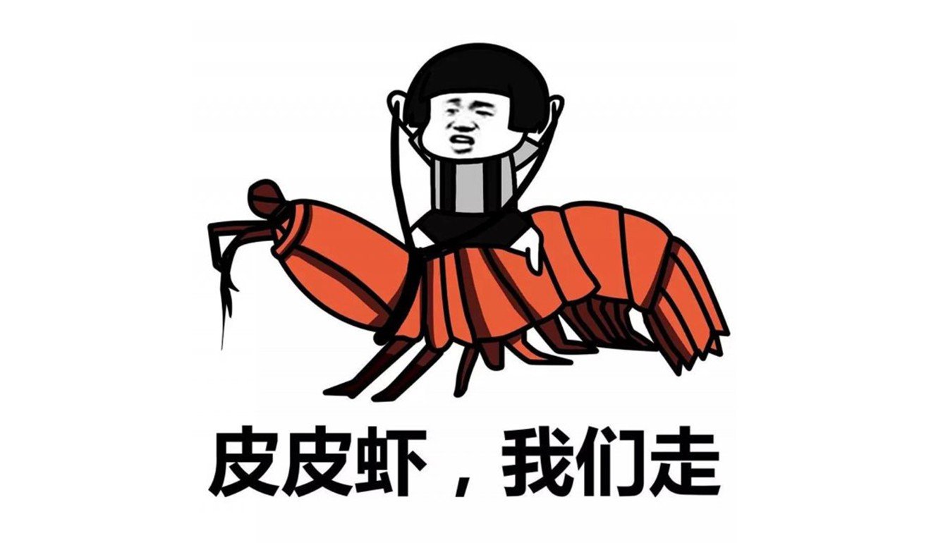 ‘Let’s go, mantis shrimp!’ Photo: Handout