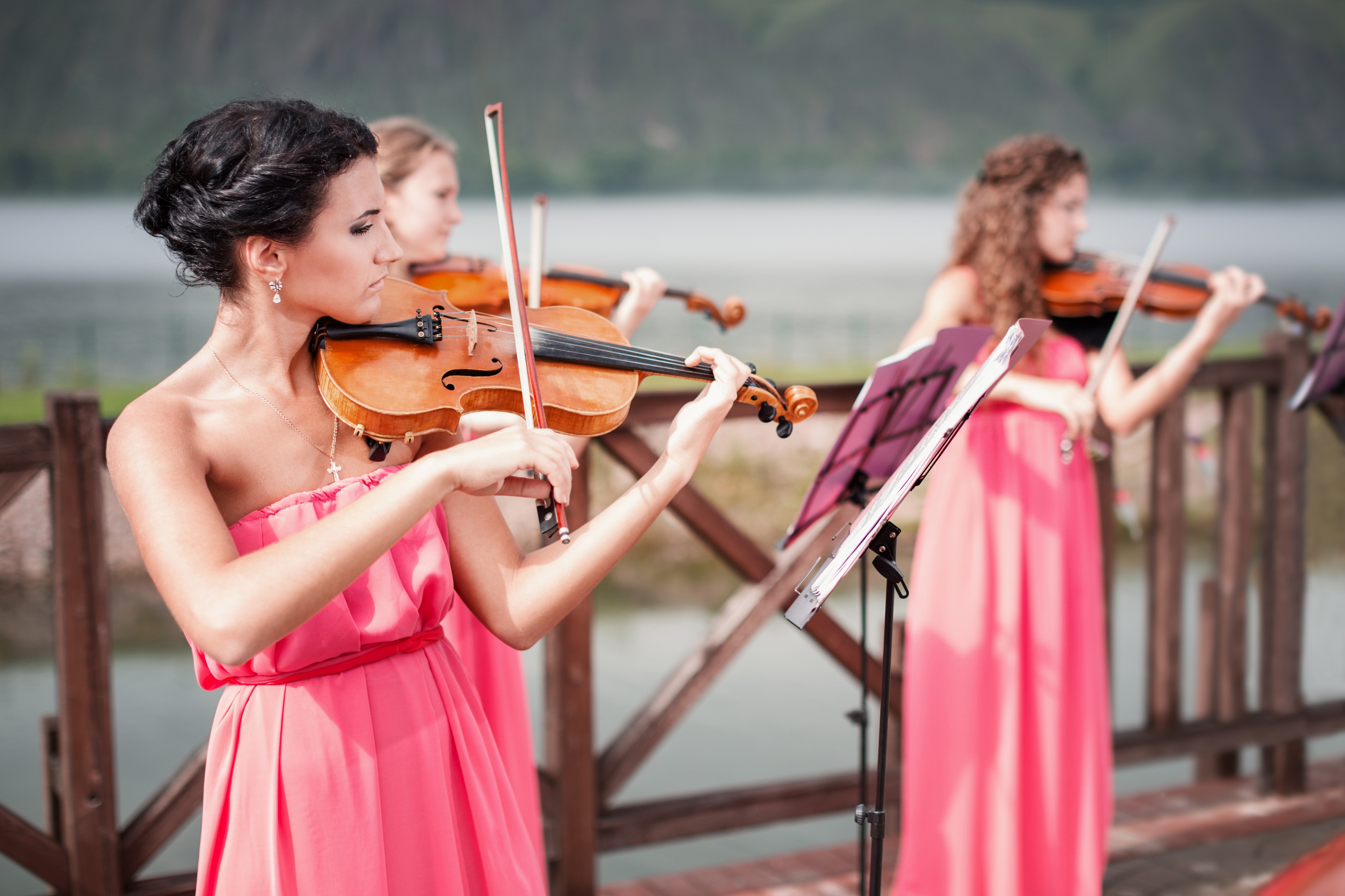 Classical musicians, who play the violin, harp or flute, are popular figures at ceremonies or receptions.