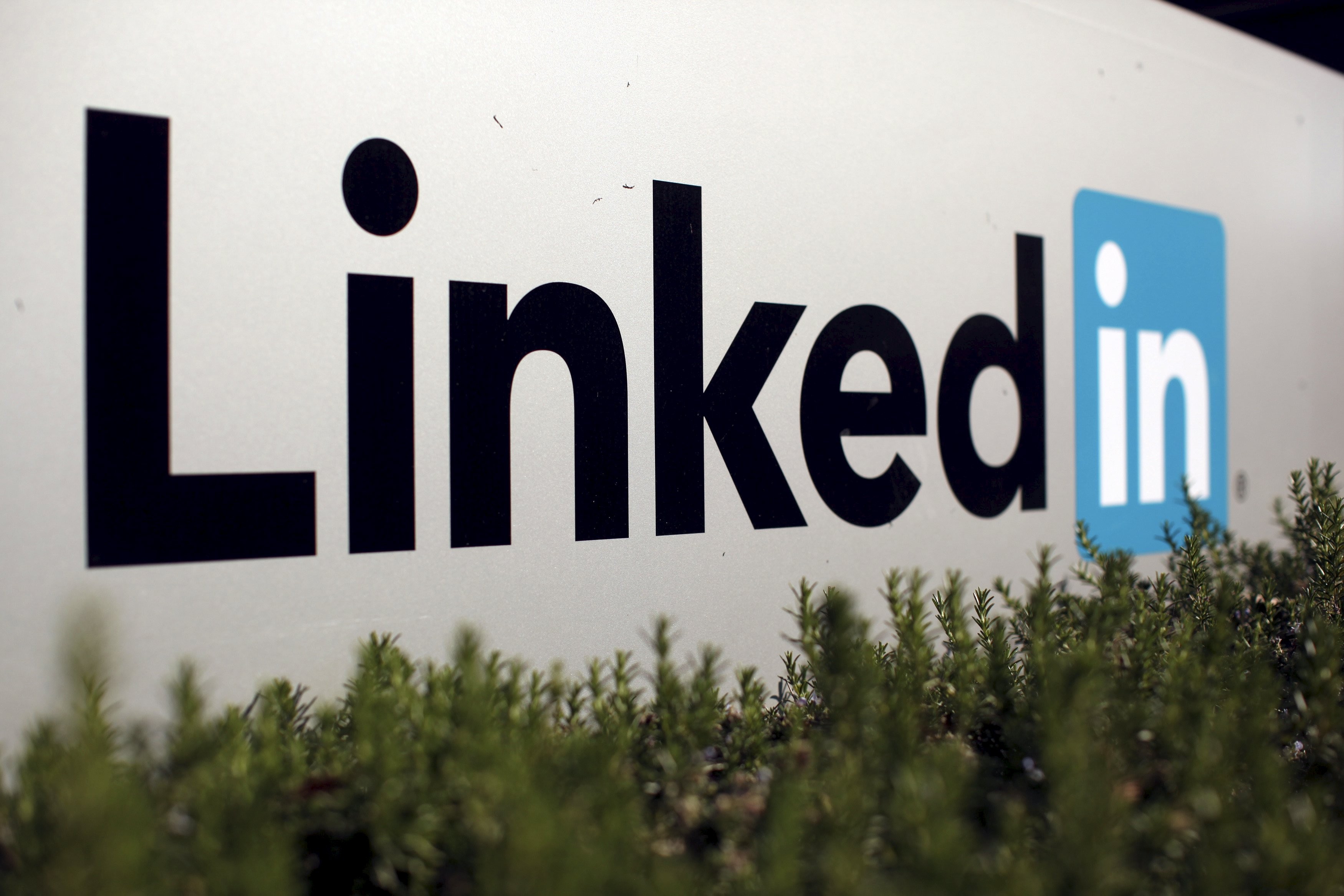 LinkedIn is one of very few western social networking sites that has a solid operation in the strictly controlled Chinese internet arena. Photo: Reuters