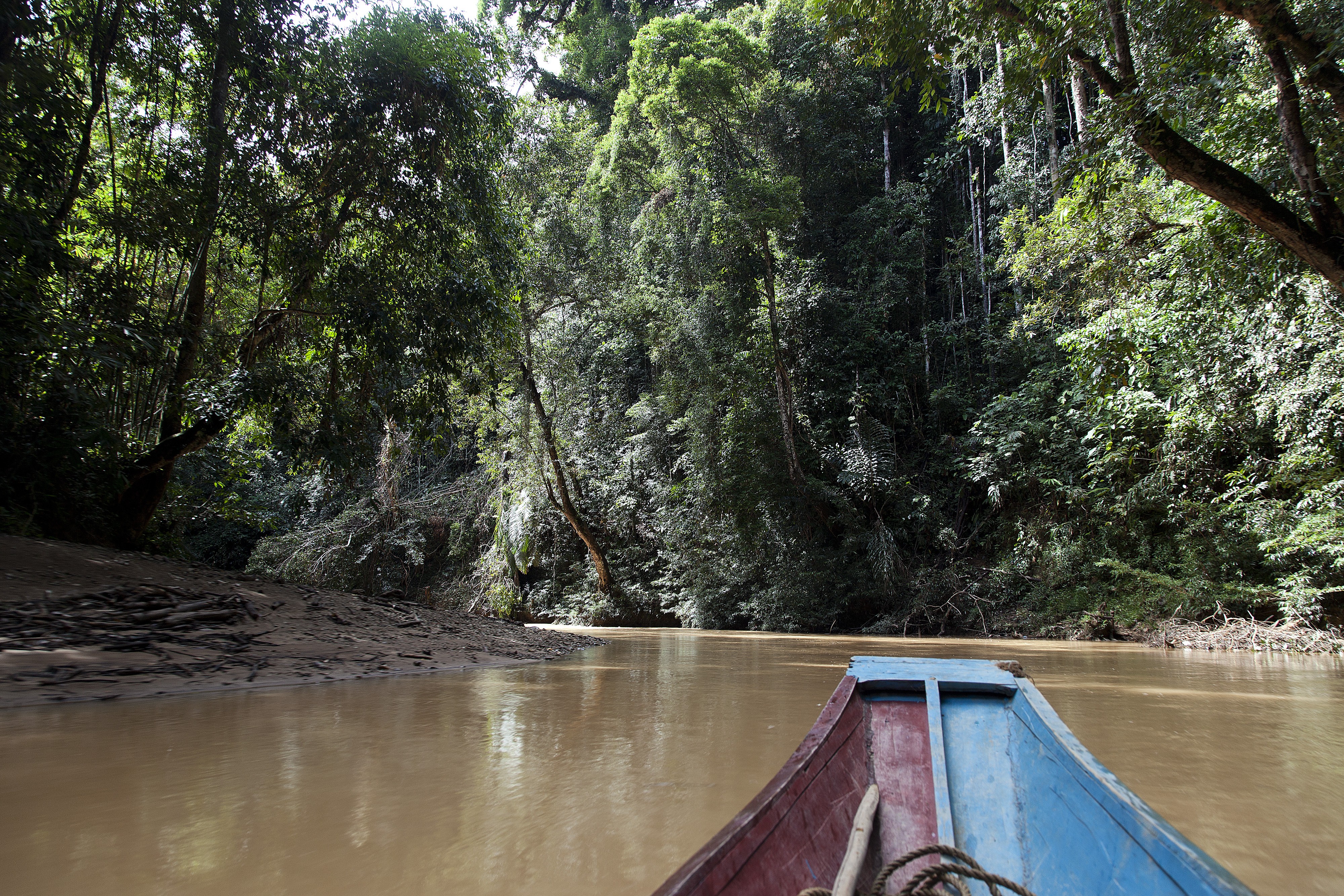 The dream weavers of Sarawak, headhunters once, fight to save their art ...