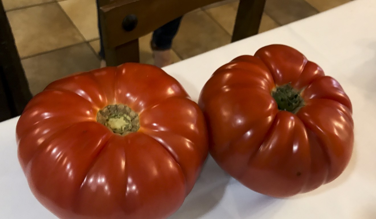 A perfect pair of beef heart tomatoes the writer took home to Hong Kong as a souvenir. Photo: Chris Dwyer