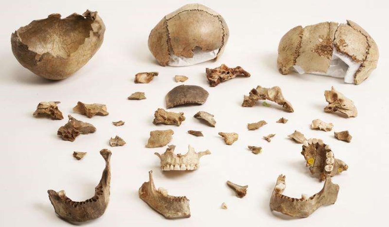 Human skull fragments found in Gough's Cave in Somerset show signs of cannibalism. Photo: Trustees of the Natural History Museum, London