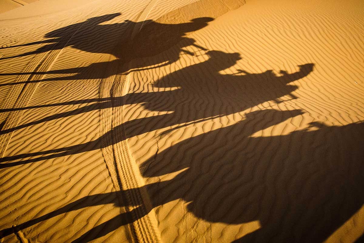 The image of camels crossing a desert may spring to mind when one thinks of the Silk Road – but if you think of the belt and road without including digital solutions, then you’re planning is nearly as archaic as those camels. Photo: Tessa Chan