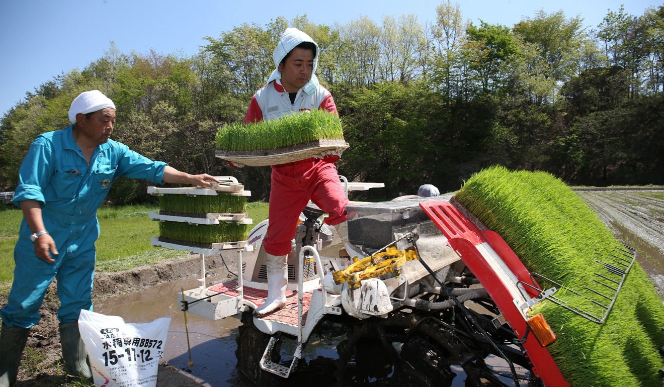 Japanese farmers plant rice seedlings with a machine at Tamura city on May 18, 2013. Photo: AFP