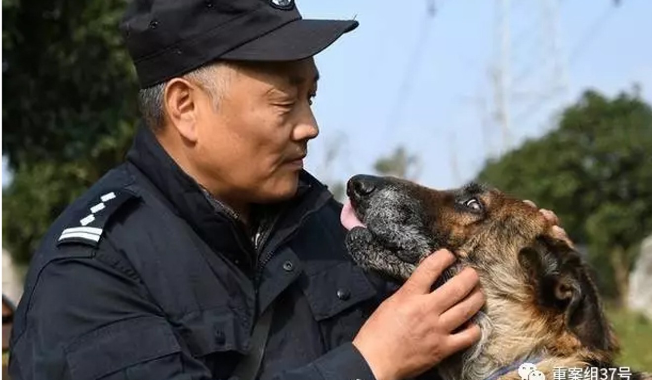 Bow wow! Retired Chinese police dogs spend their golden years in ...