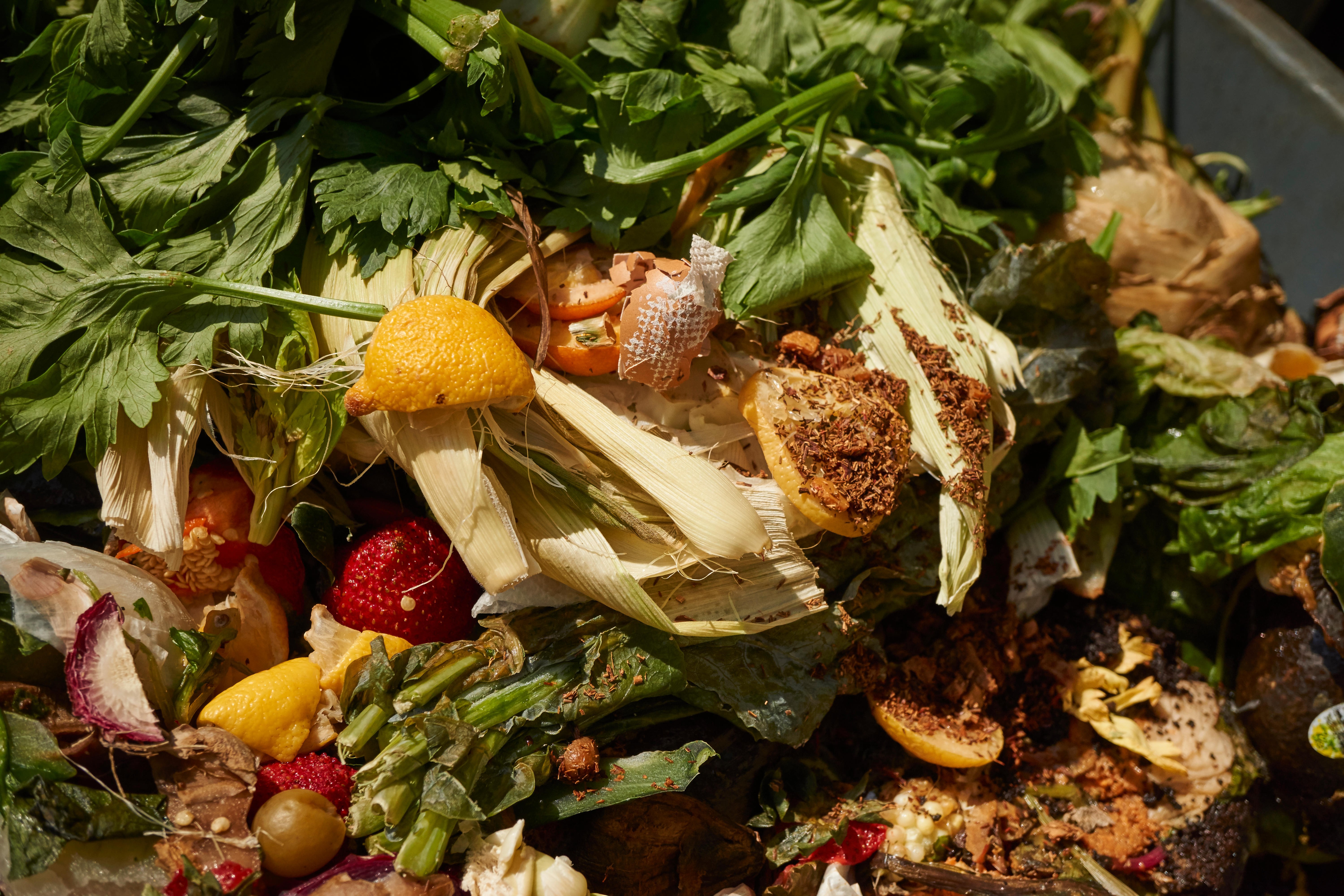 There are many ways to cut down on your food waste. Photo: Alamy