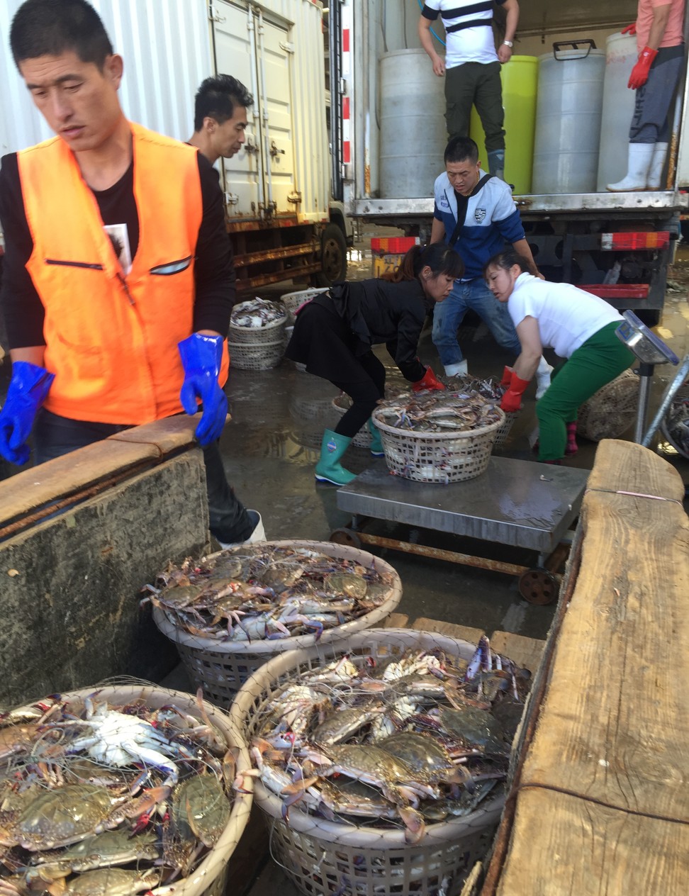 Workers unload baskets of North Korean crabs at the Donggang wholesale seafood market. Photo: Choi Chi-yuk