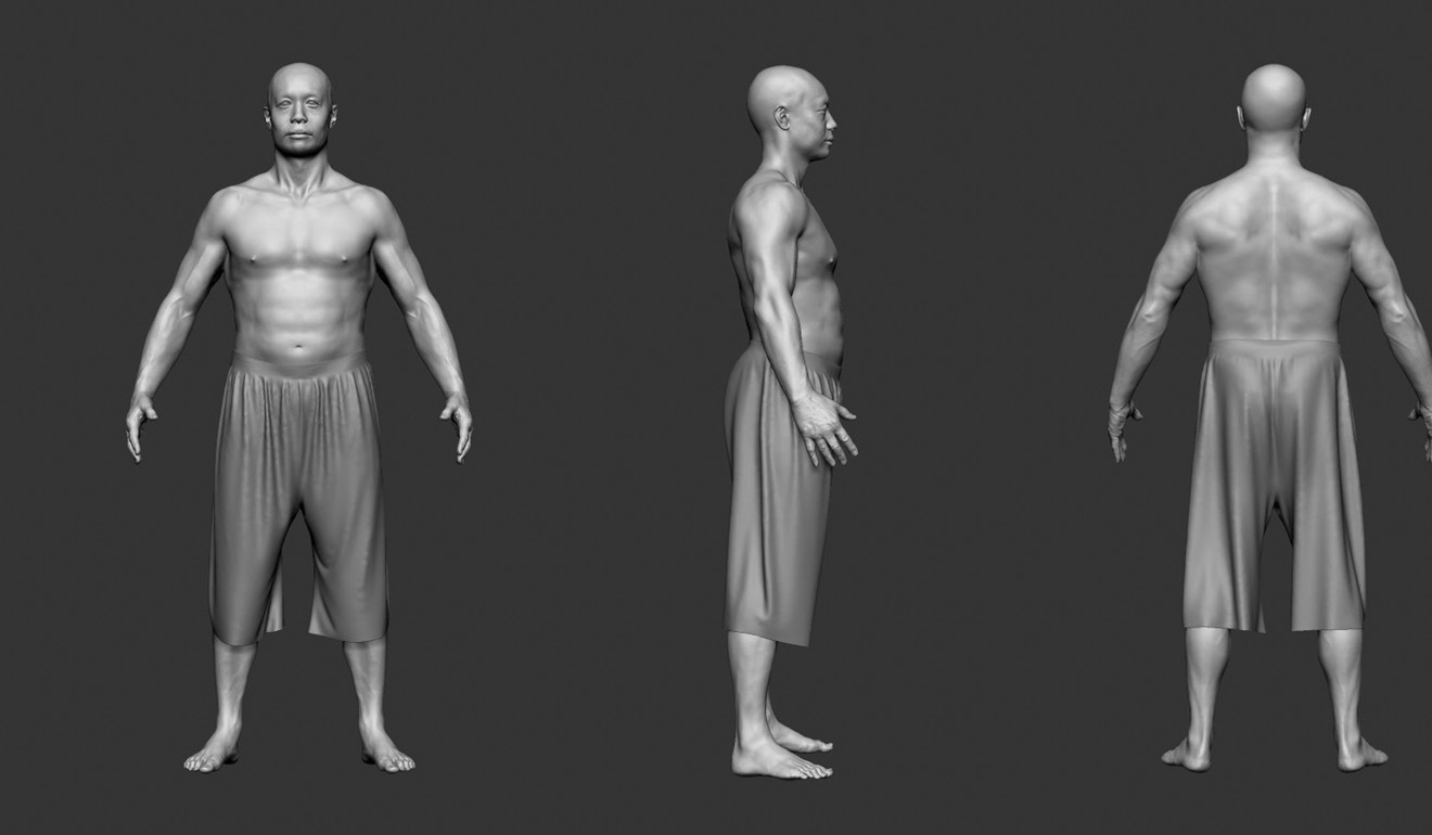 3D models of Lam.