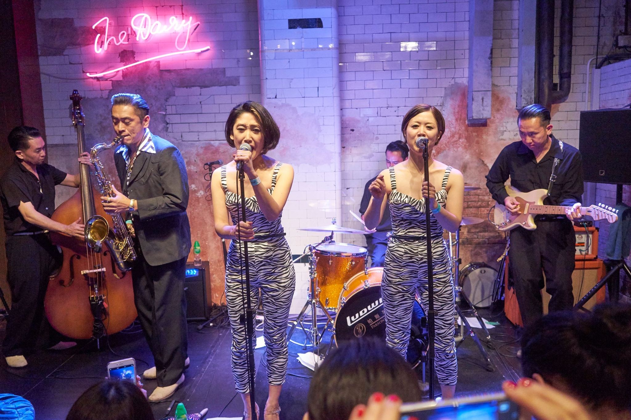 Hong Kong's Dirty Boogie Rockabilly Festival - get ready to rock | South  China Morning Post