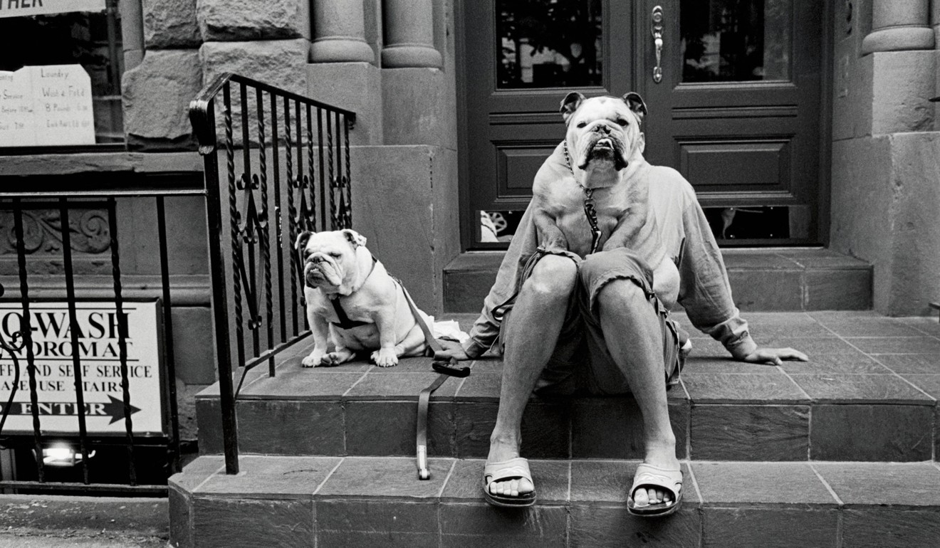 A shot from ‘Dogdogs’ by Elliott Erwitt.