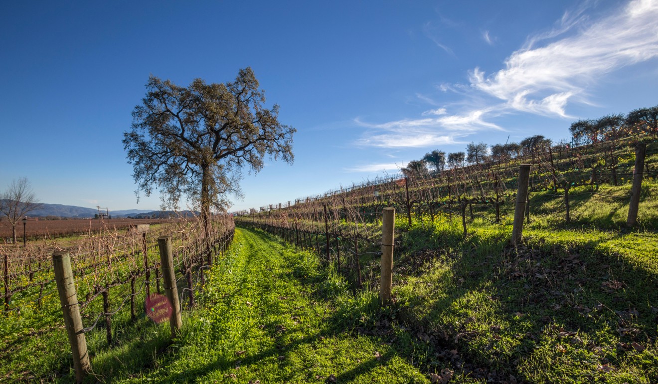 Inglenook vineyard in Napa Valley, California. Picture: Alamy