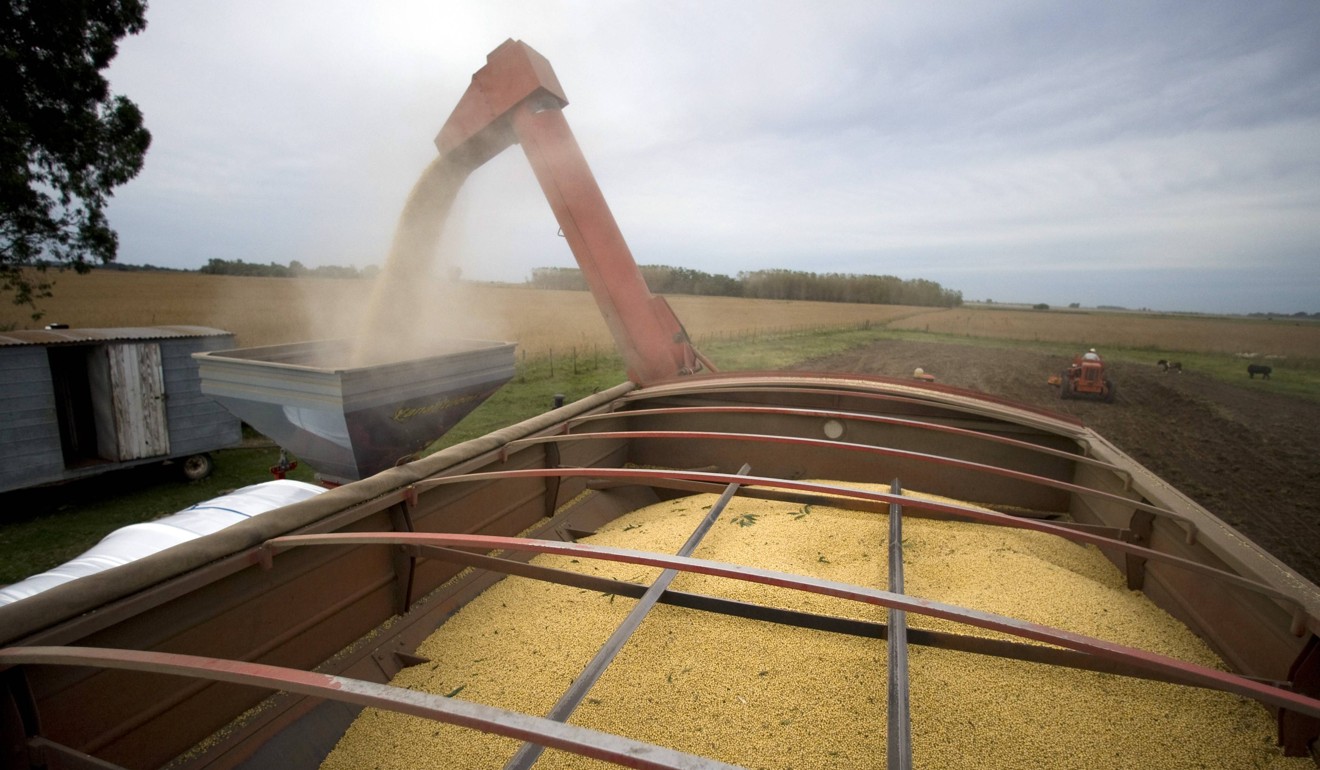 A harvester depositing soybeans into silo bags on a Brazilian farm. Photo: Reuters