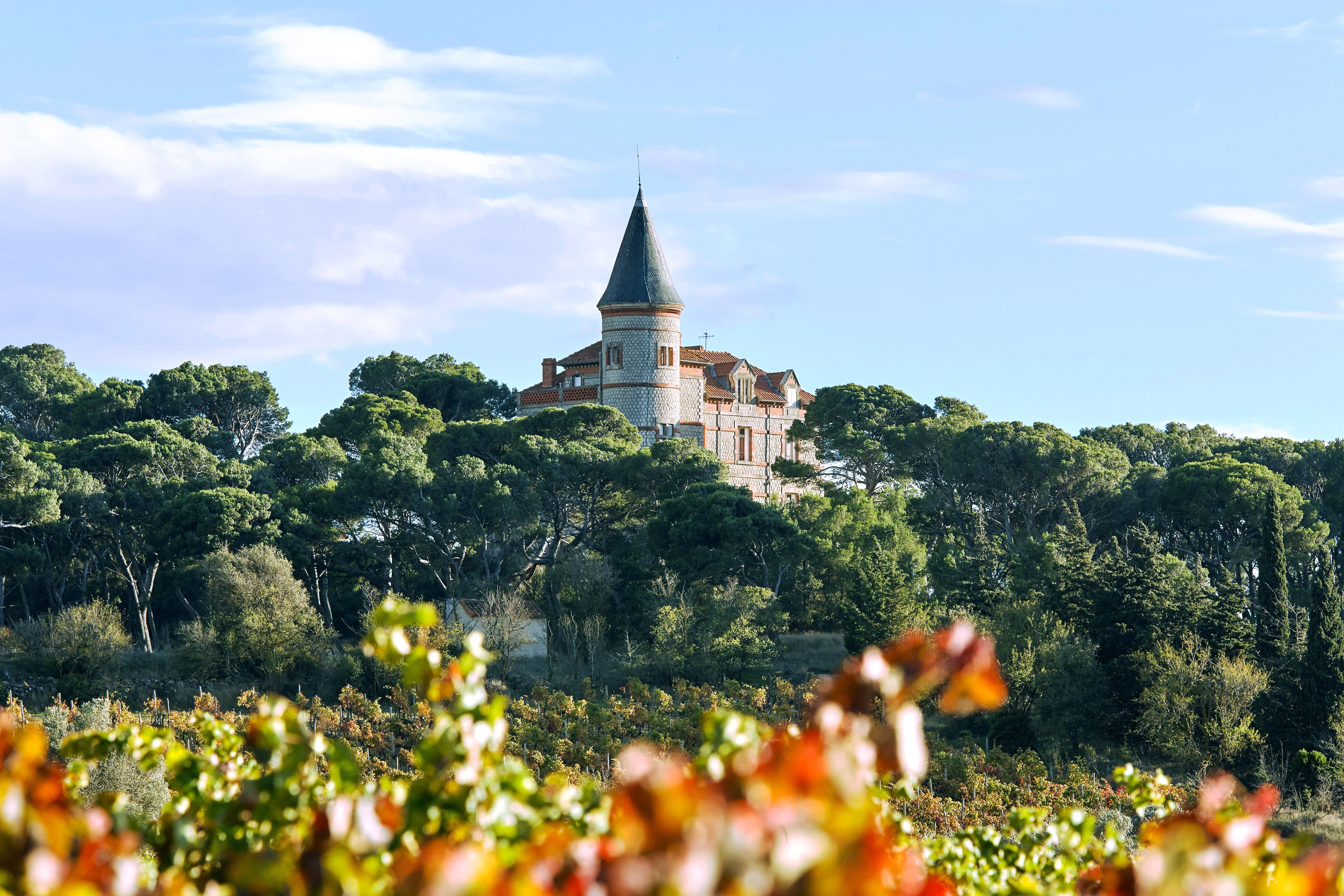Chateau Capitoul, pictured, is the third vineyard to be restored to its former glory by O’Hanlon’s company, Domaine&Demeure. Photo: Courtesy of Domaine&Demeure.