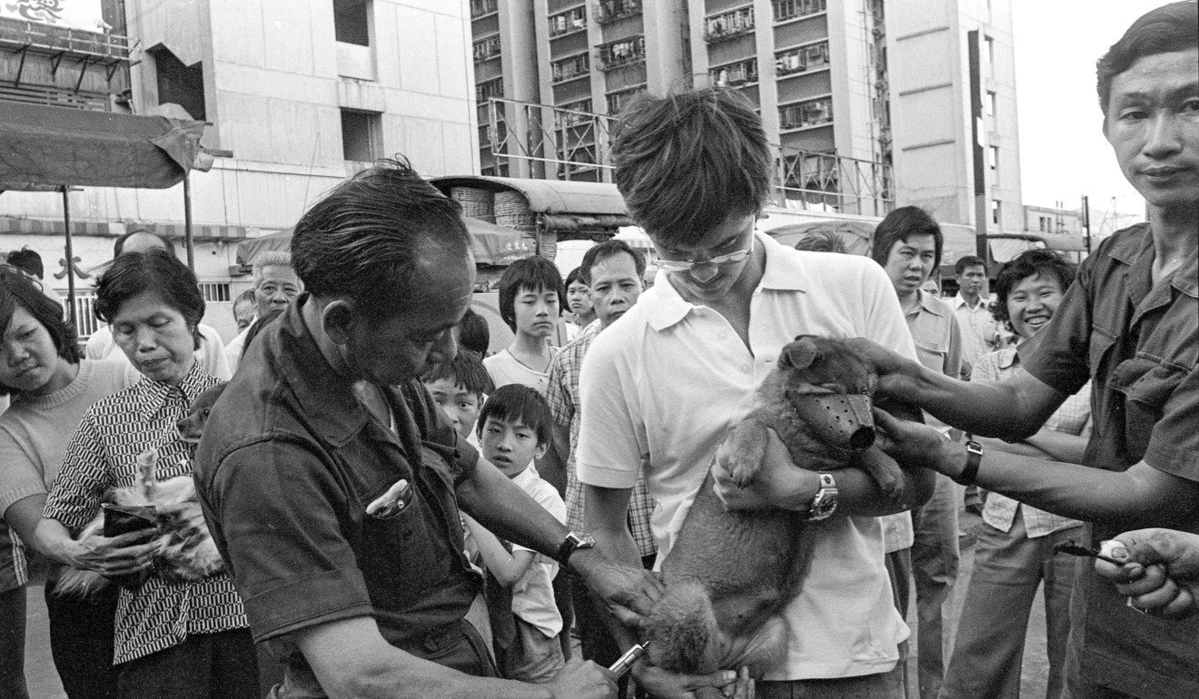 Dogs vaccinated against rabies in Shau Kei Wan, in 1977. Photo: SCMP