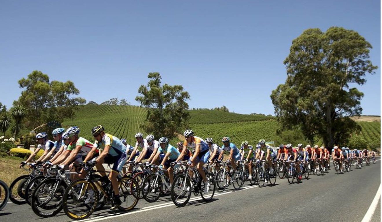 Cyclist in the 2009 Tour Down Under pass by a Barossa Valley Vineyard in Adelaide, Australia.