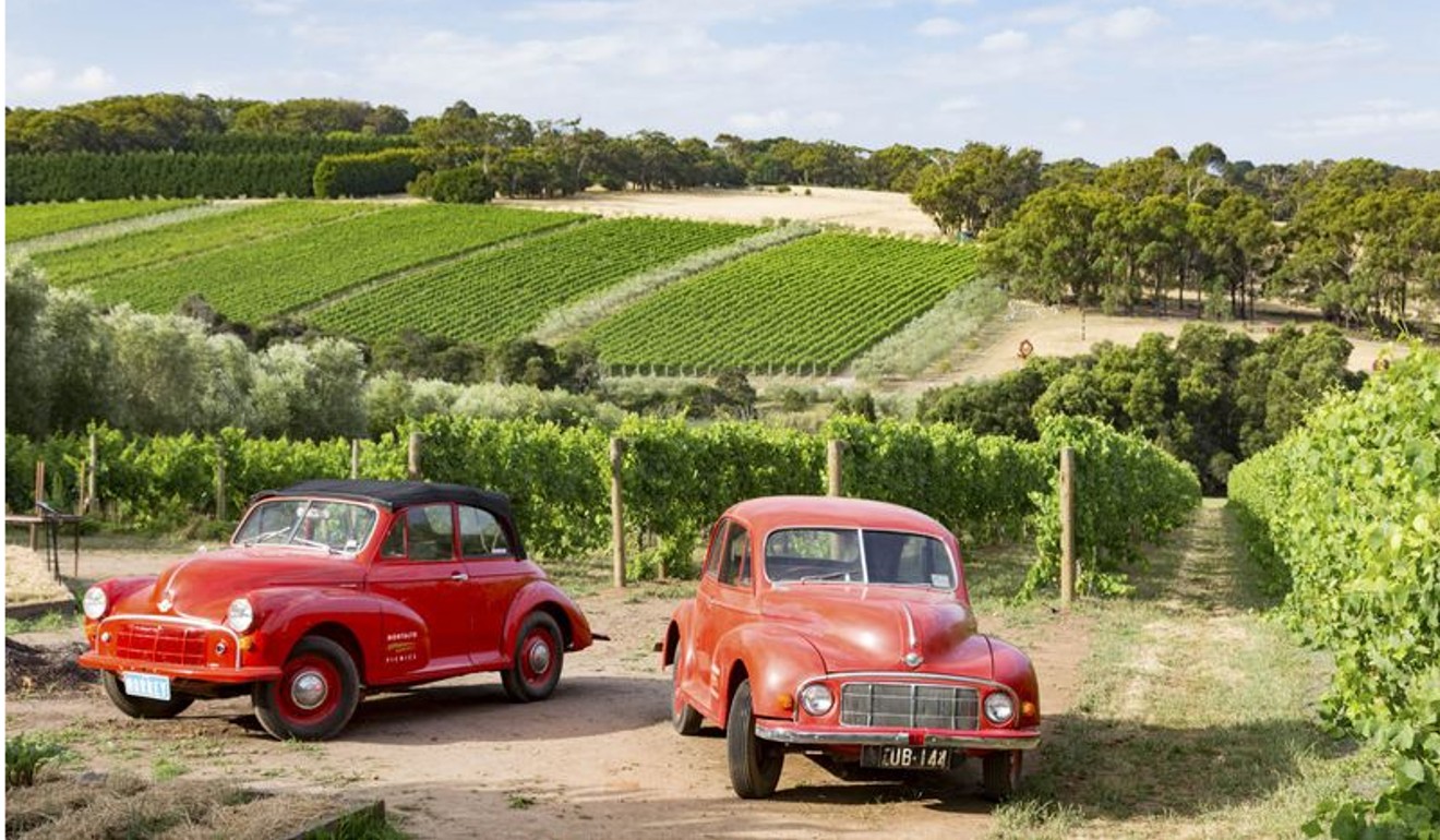 Classic Australian cars among Mornington vineyards.