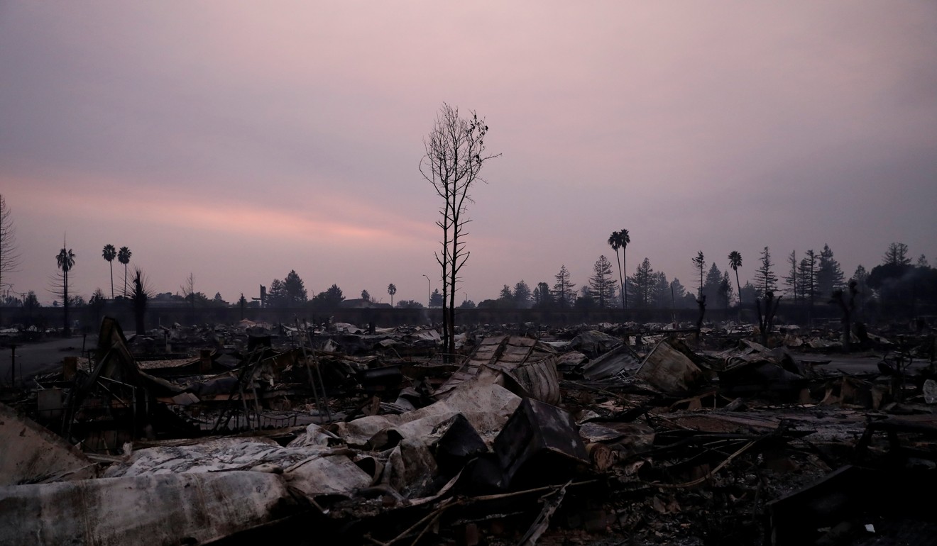 A burnt tree stands amid a destroyed trailer park in Santa Rosa, California. Photo: Reuters