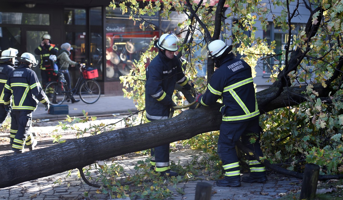 A tree that fell in Hamburg, Germany. Photo: Reuters