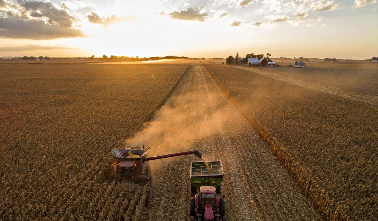 Corn is harvested in Princeton, Illinois. The US has the second biggest cropland in the world behind India. Photo: Bloomberg