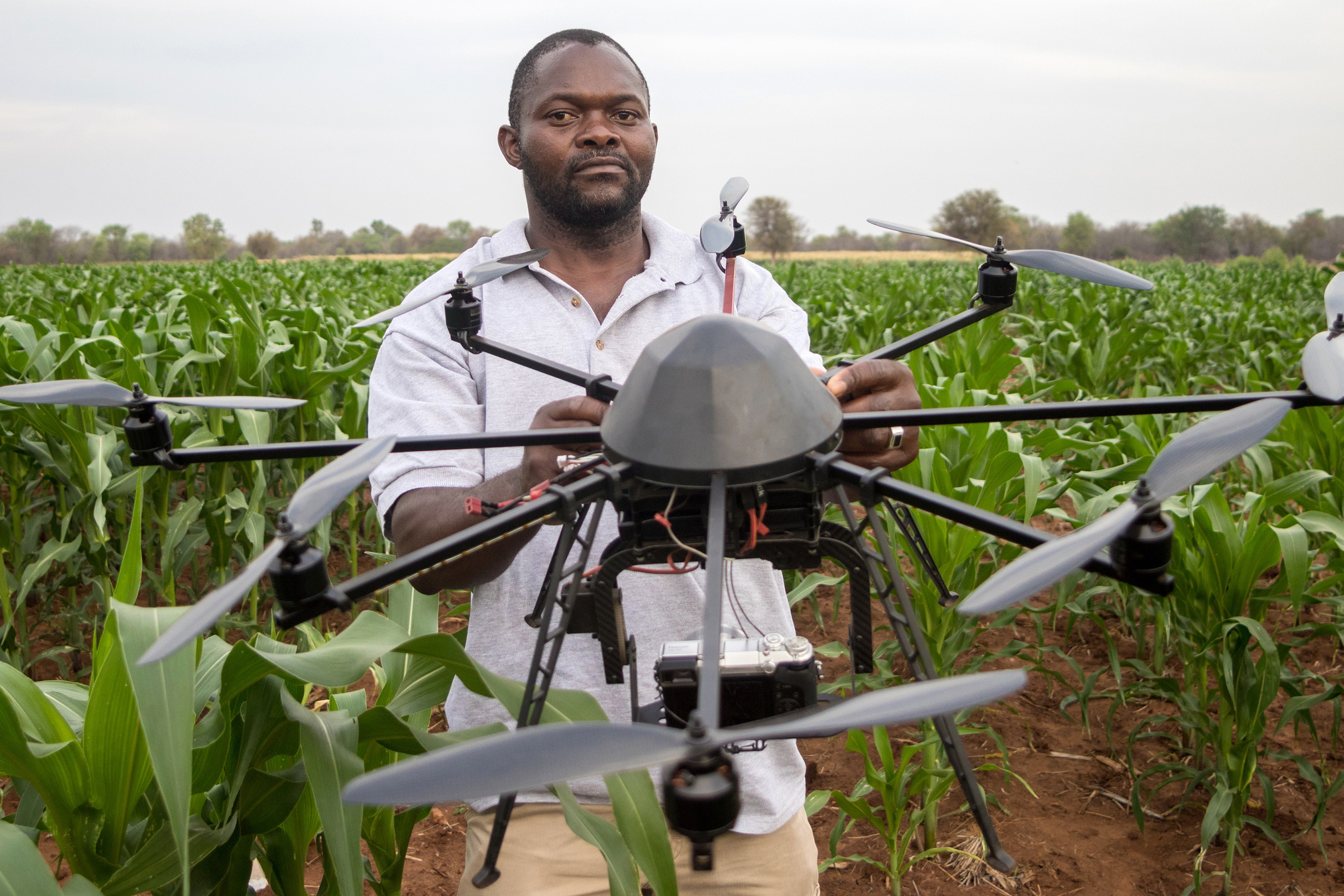 A technician holds a drone used to scout a plot of a heat-tolerant hybrid corn growing at the Chiredzi Research Station, in Zimbabwe, in October 2016. Africa’s largest employer is agriculture. In China, agriculture was modernised by granting more autonomy to farmers, alongside state investment in food-processing facilities. Photo: AFP