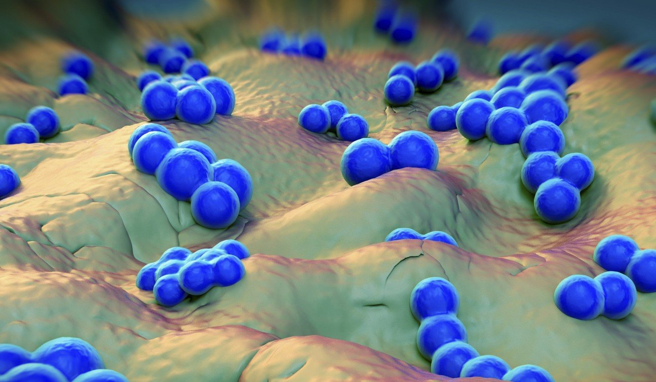 Methicillin-resistant Staphylococcus aureus, or MRSA, is a superbug that is considered a serious threat to global public health. Photo: Shutterstock