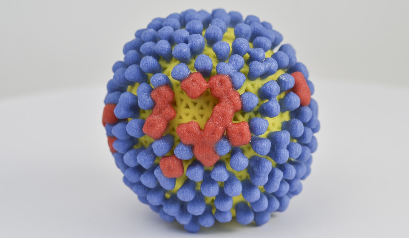 A three-dimensional print of an influenza virus. Photo: Handout