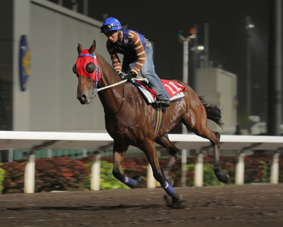 Super Satin gallops on the all weather track at Sha Tin.