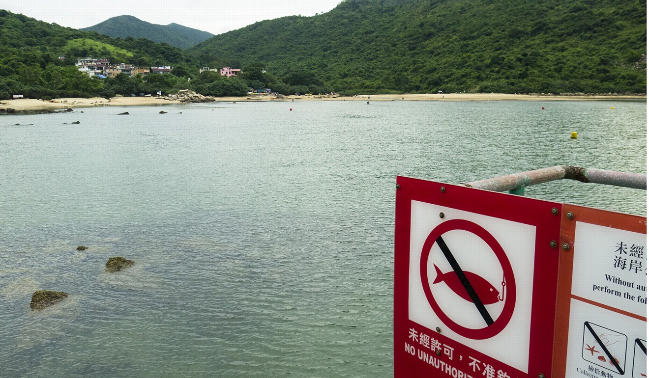 A Country and Marine Parks sign warns people not to fish or pick up marine life at a coral area in Hoi Ha Wan. Photo: Stuart Heaver