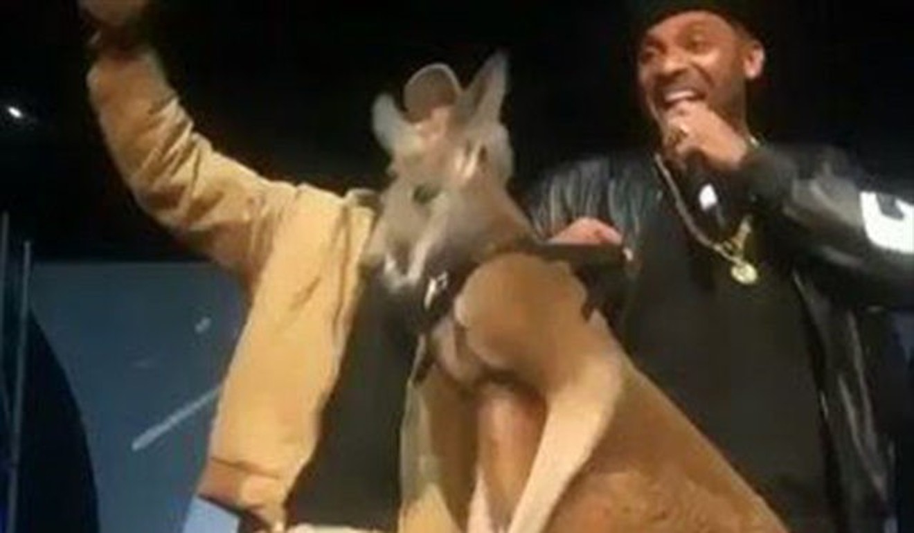 Mike Epps with the kangaroo.