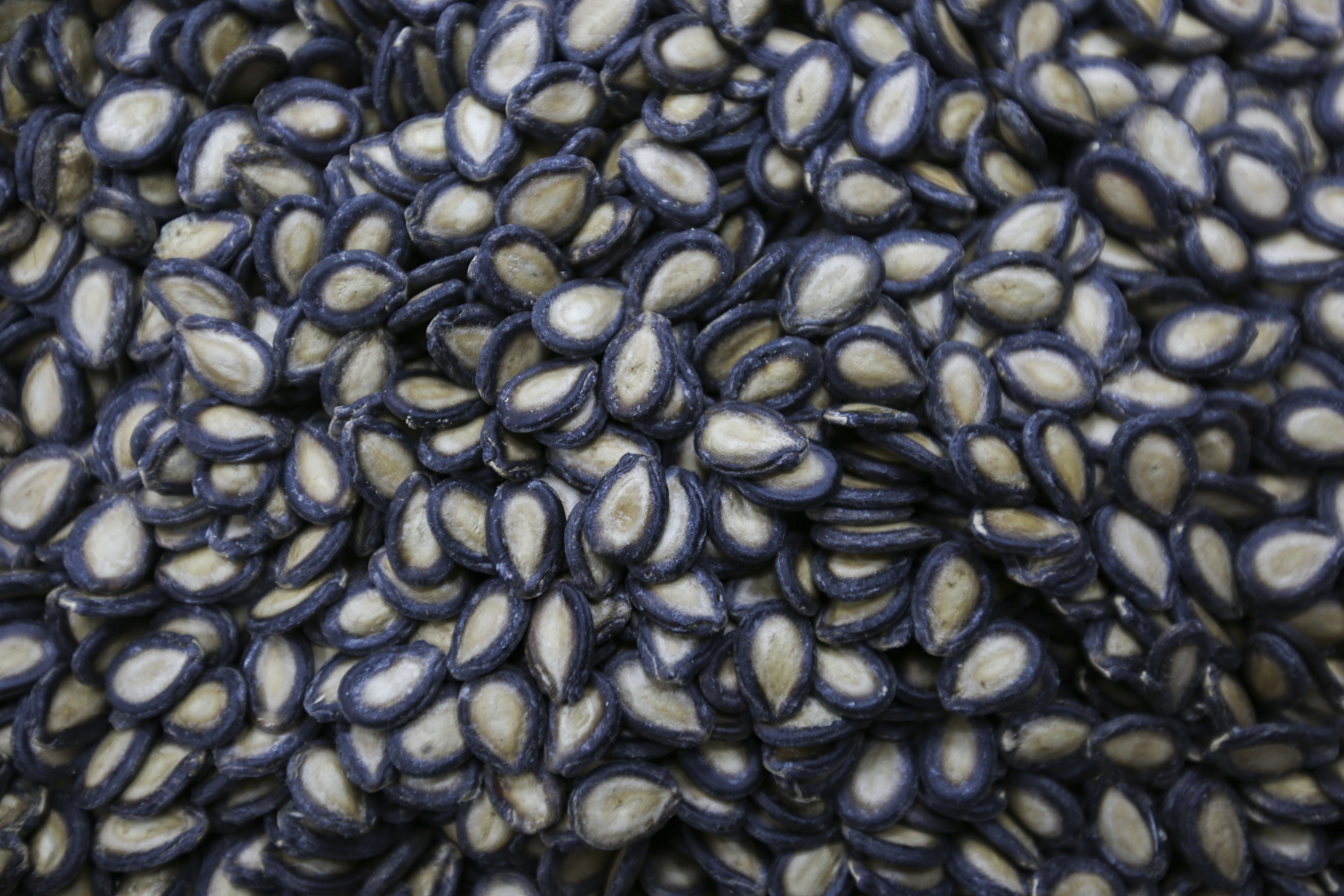 Shanghai Luk’s Dynasty of Melon Seeds maintains a Chinese culinary tradition in changing times