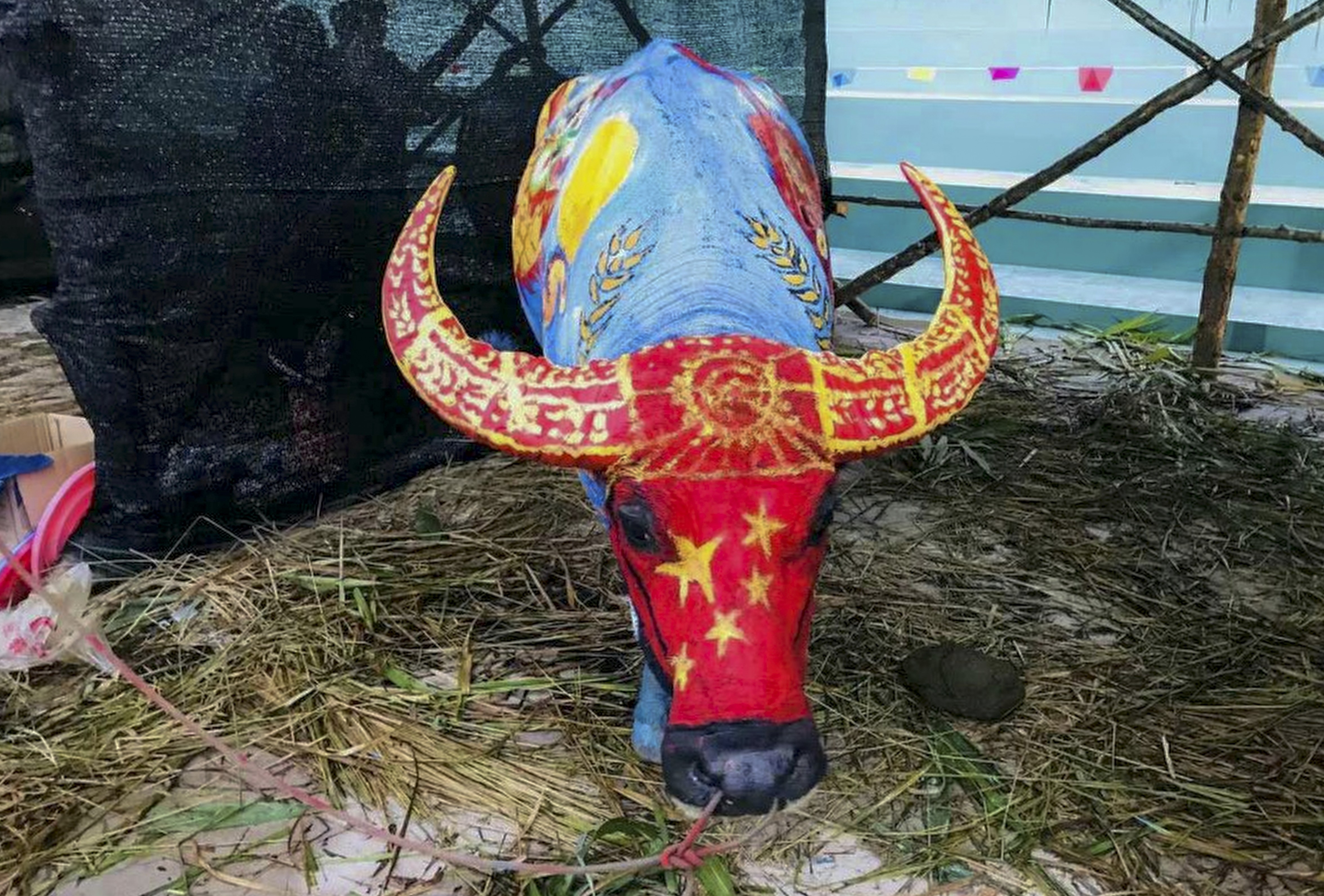 One of the buffaloes painted in the competition. Photo: Xinhua