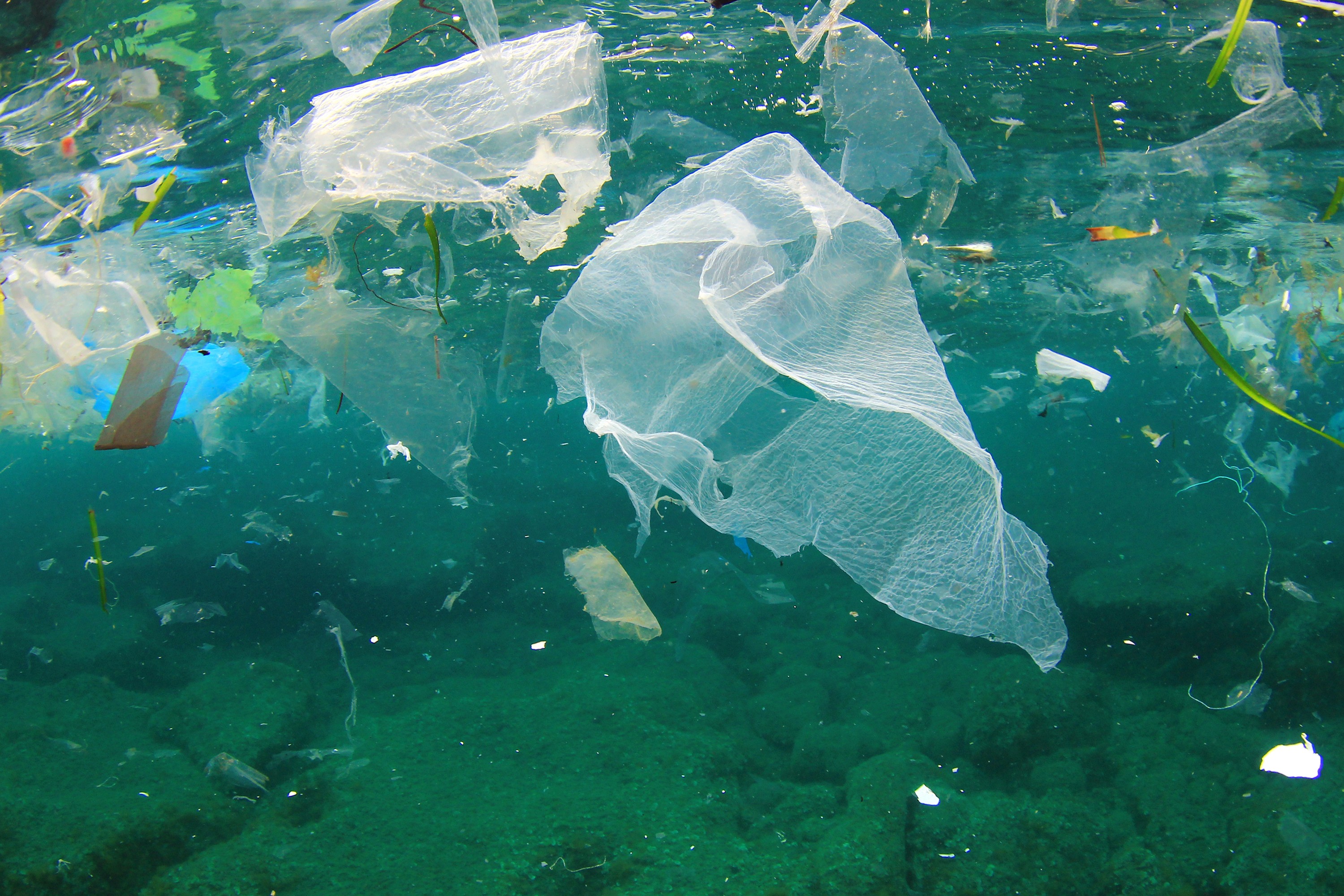 An Ellen MacArthur Foundation Report estimates that, by 2050, there will be more plastic in the ocean than fish if current trends continue. Photo: Shutterstock