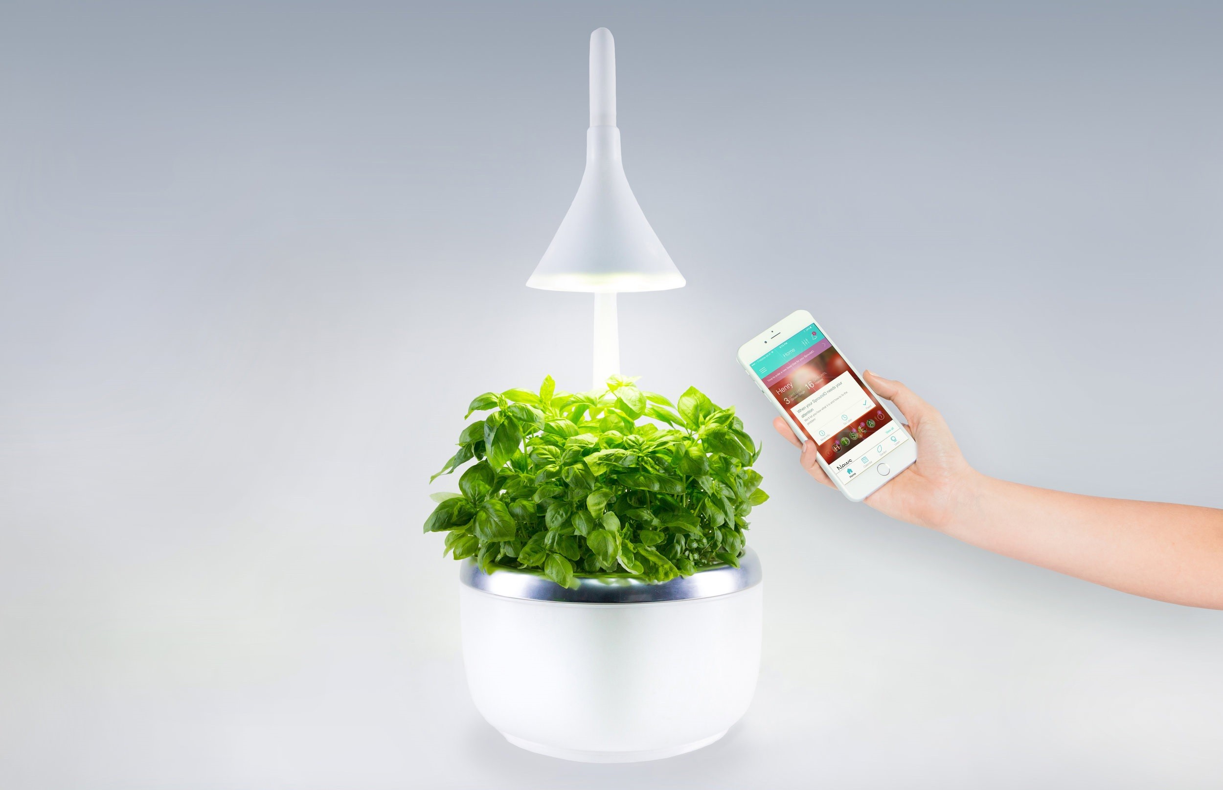 Get smart: kitchen gardening know-how in palm of your hand | South China  Morning Post
