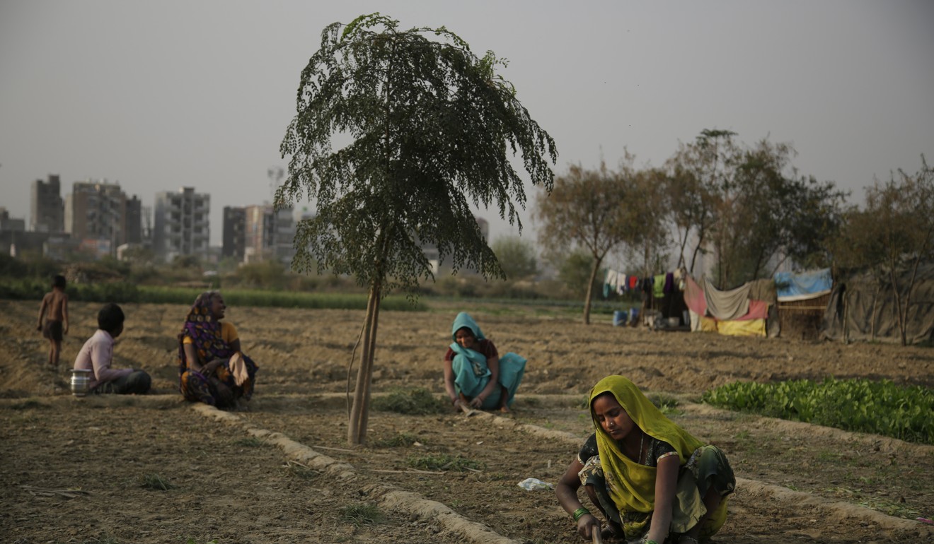 Indian women work on a farm on the outskirts of New Delhi. Researchers report a link between crop-damaging temperatures and suicide rates in India, where more than 130,000 farmers end their lives every year. Photo: AP