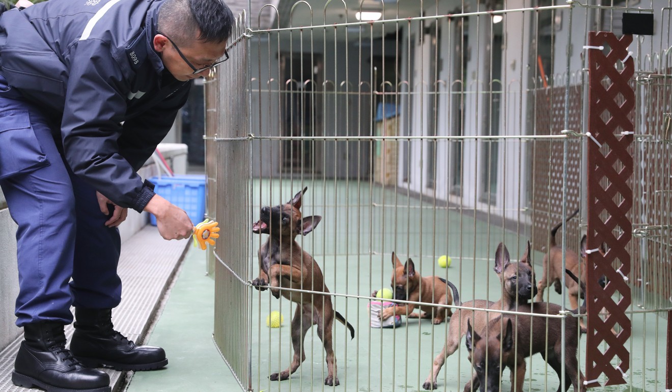 police k9 kennels
