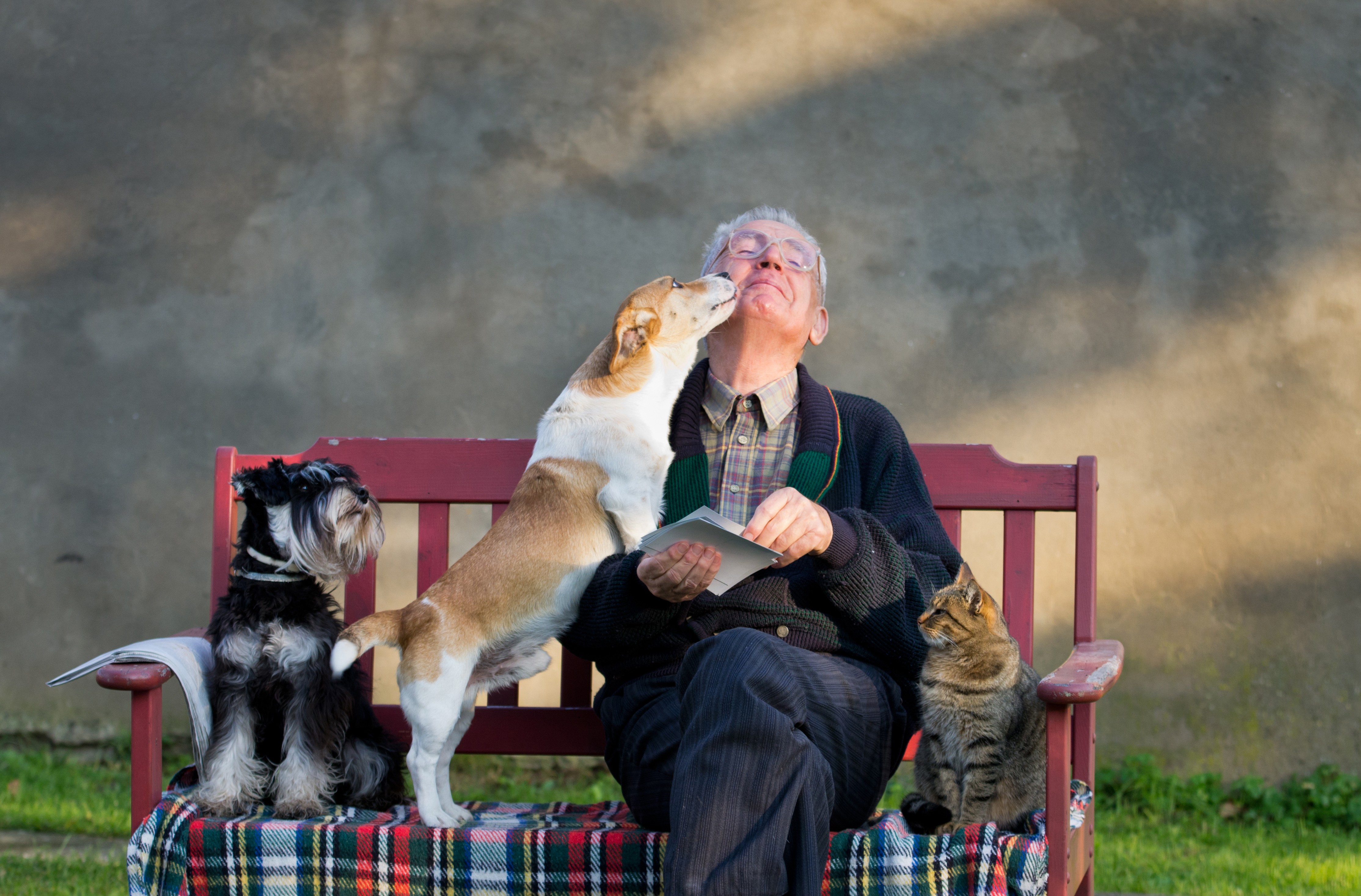 The increasing share of elderly population in Hong Kong and the loneliness that comes with the advancing years have led many seniors to be emotionally attached to their pets. Photo: Shutterstock