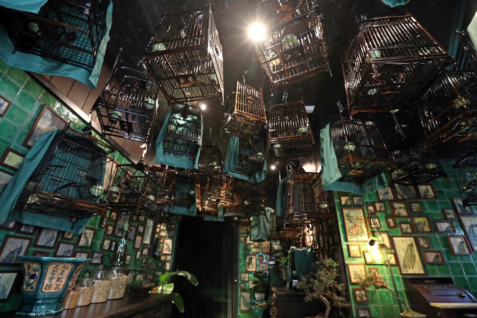 Bird cages hanging in the entrance to Ophelia. Photo: Bruce Yan