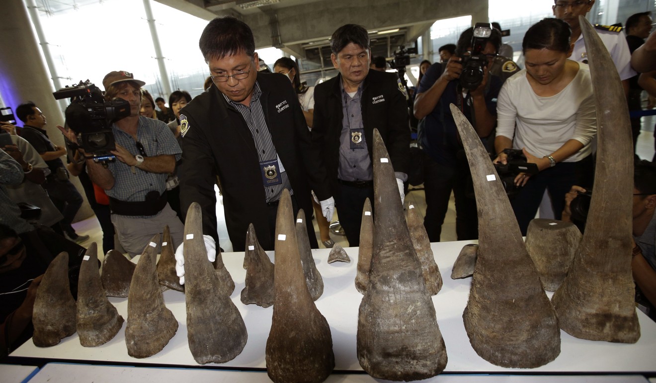 Thai customs officers display seized rhino horn at the Suvarnabhumi airport, Bangkok in March last year. Photo: AP