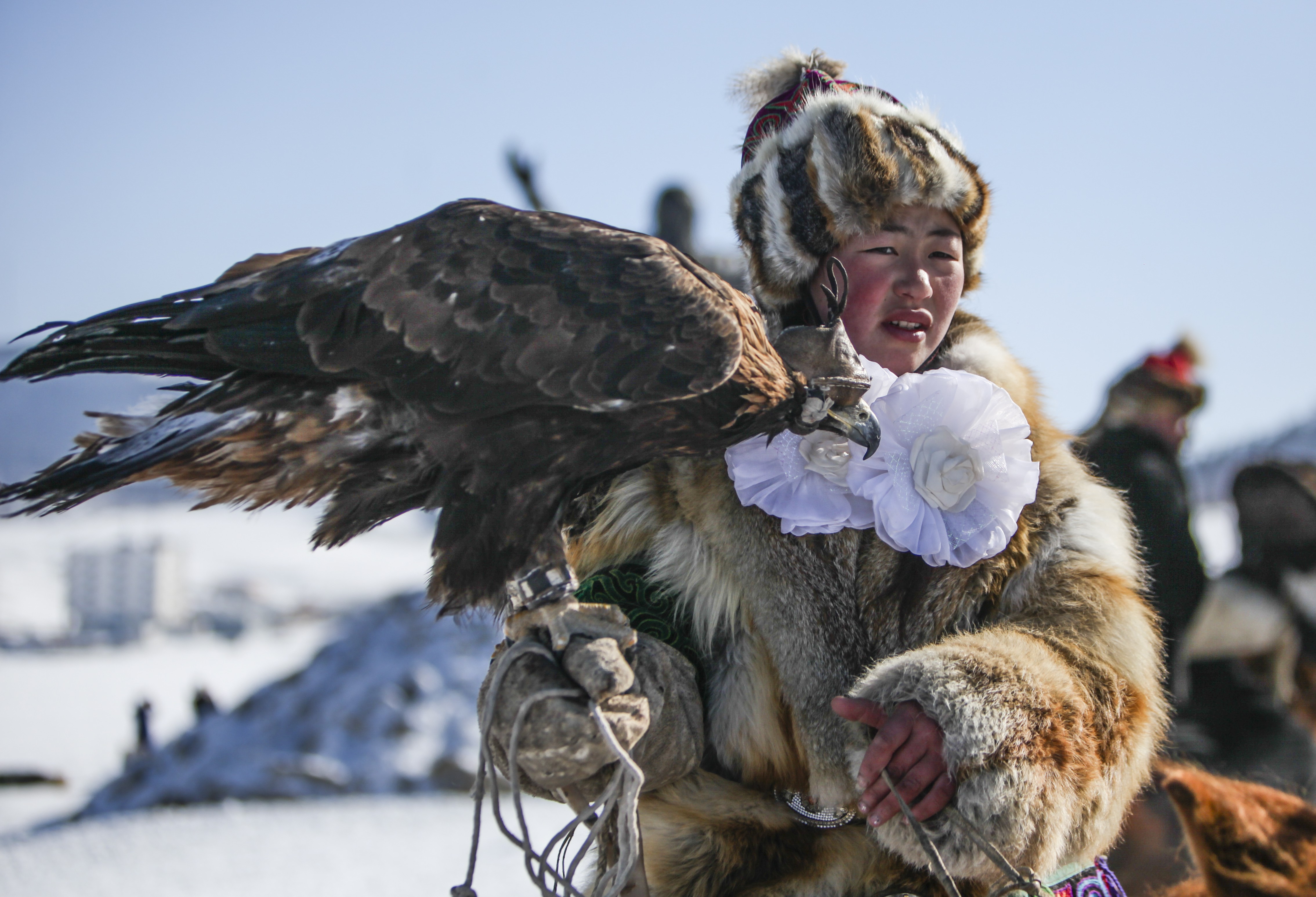 Revival Of Hunting With Eagles Gathers Pace In Mongolia As