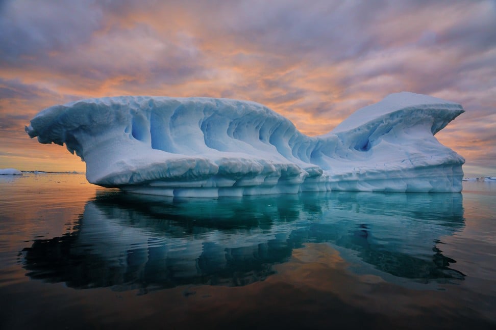 Путешествие на айсберге. Keith Ladzinski. Keith Ladzinski животные. National Geographic журнал Айсберг. Майкл Ладзински сайт.